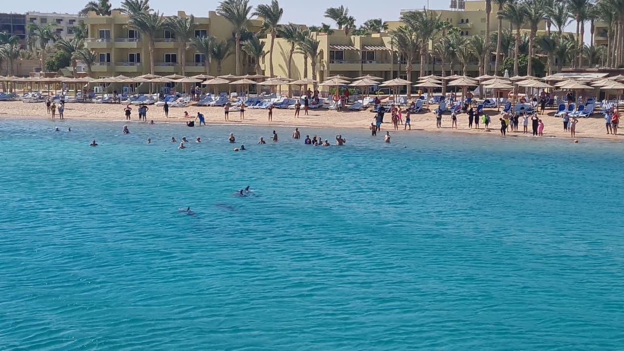 Strand Palm Beach Resort