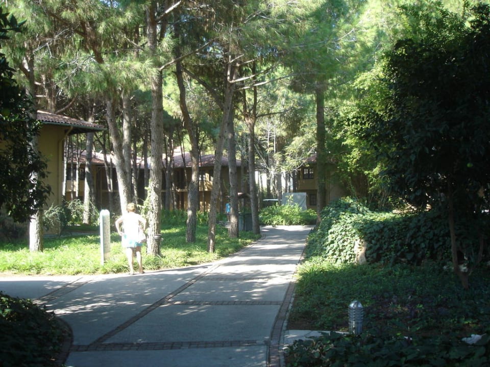 Einer der Wege durch die Anlage Asteria Family Belek