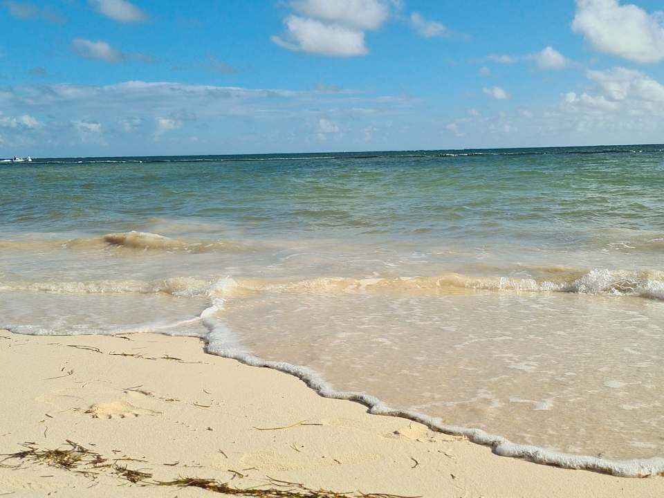 Strand Dreams Flora Resort & Spa - All Inclusive