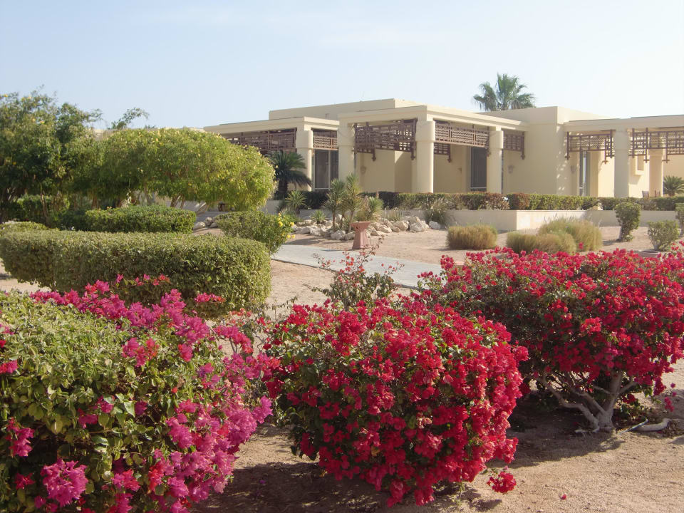 Garten Hotel Sheraton Soma Bay Resort