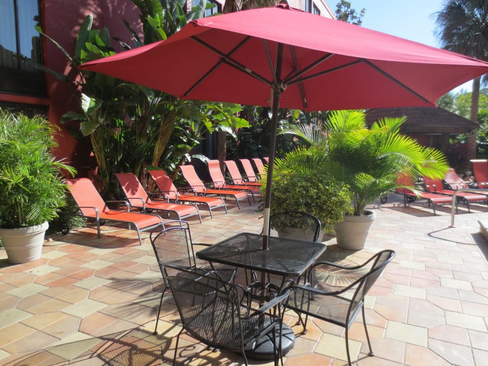 ... saubere und bequeme Liegen Doubletree by Hilton Fort Myers at Bell Tower Shops