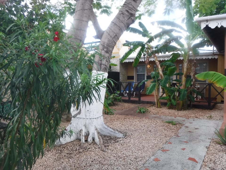 Gartenanlage Hotel Marys Boon