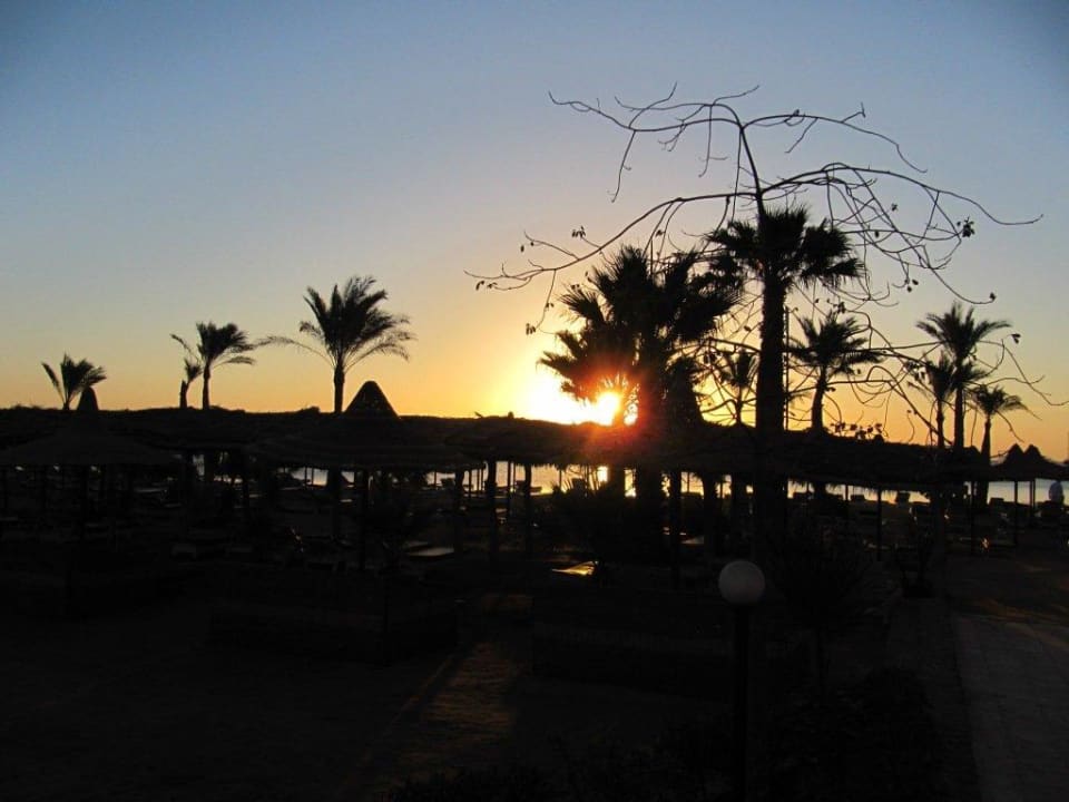 Sonnenaufgang Giftun Azur Resort