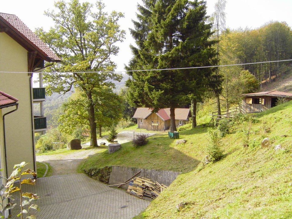 Blick auf die Außenanlage Sonnenwald Hotel