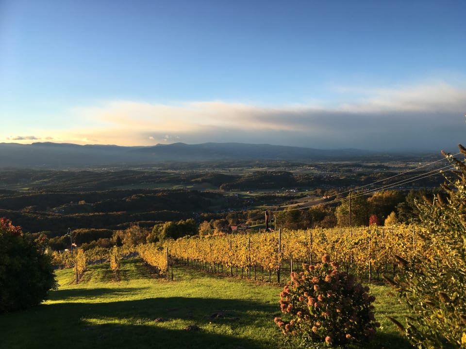 Ausblick Panoramahotel Steirerland