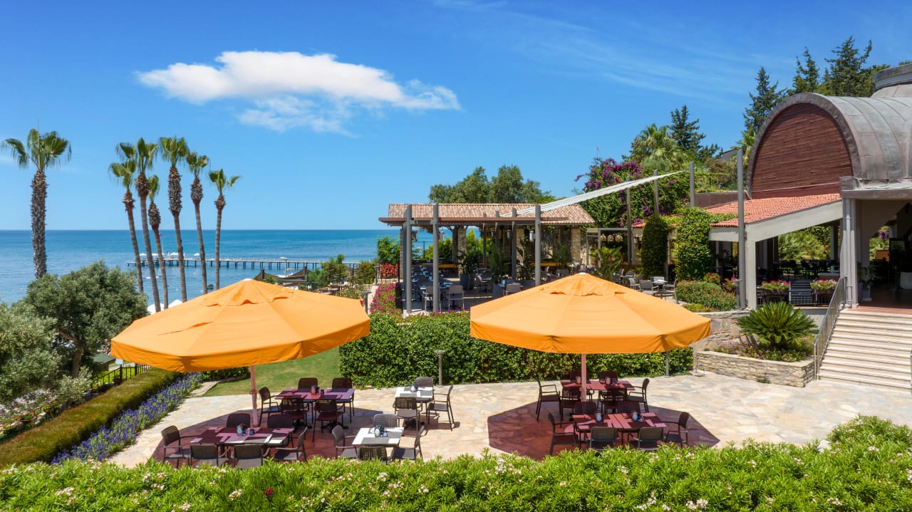 Ausblick Arum Barut Collection