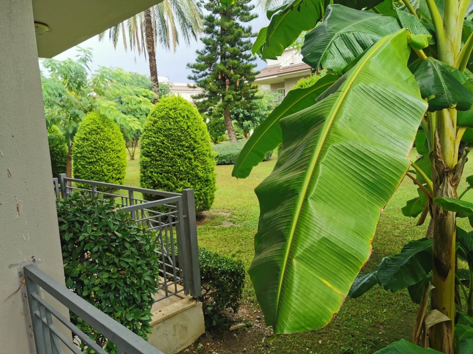 Gartenanlage Sunis Elita Beach Resort & Spa