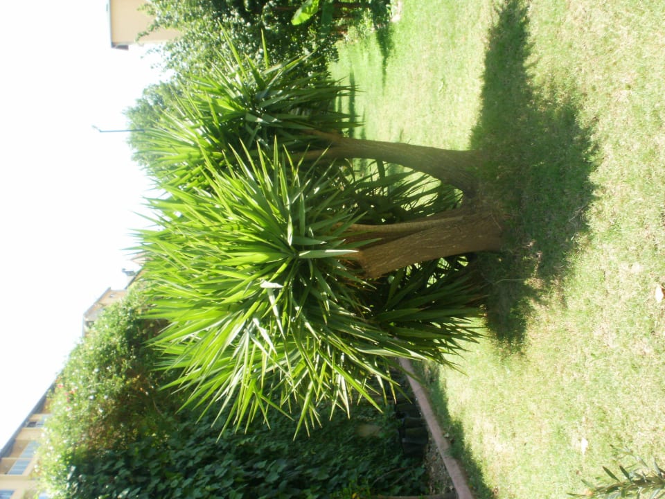 Sauber Telatiye Resort