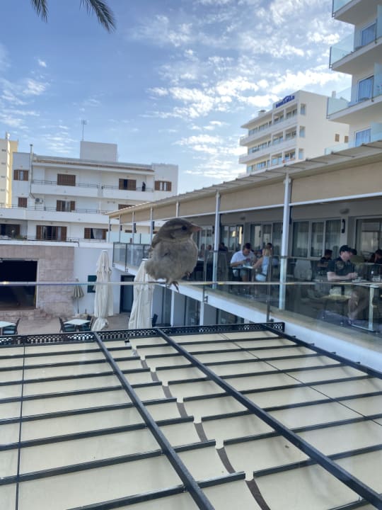 Ausblick CM Playa del Moro