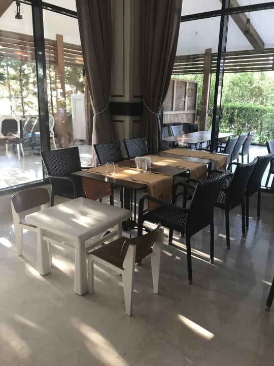 Gastro Adalya Elite Lara