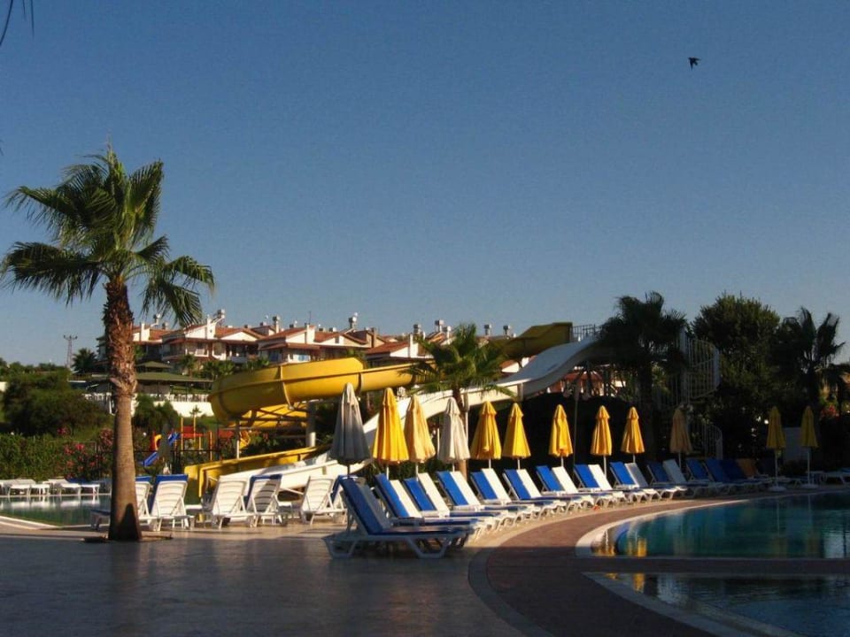 pool Royal Atlantis Beach Hotel
