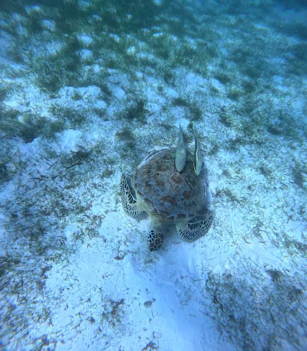 Sport & Freizeit Le Meridien Maldives Resort & Spa