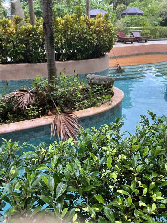 Pool Maikhao Palm Beach Resort