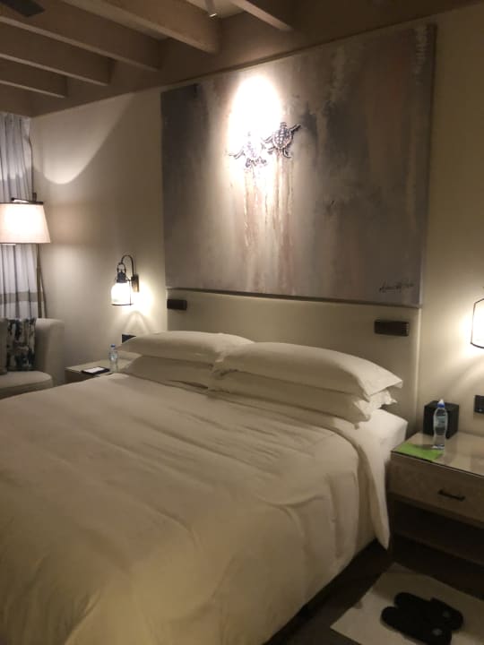 Zimmer Saadiyat Rotana Resort &  Villas