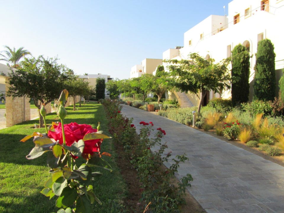 Spazieren gehen lohnt sich Neptune Luxury Resort
