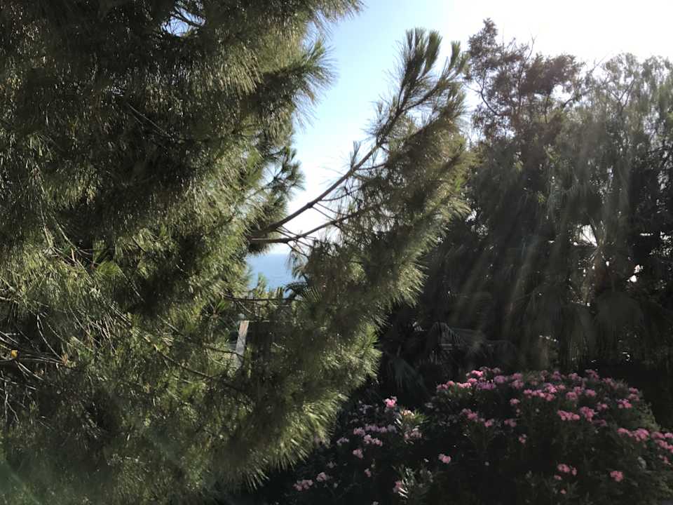 Ausblick Hotel Pine Bay Holiday Resort