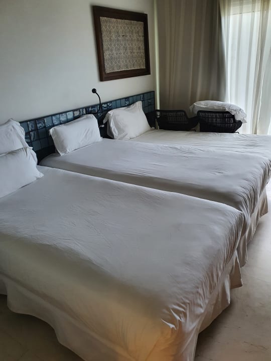 Zimmer Dreams Jardín Tropical