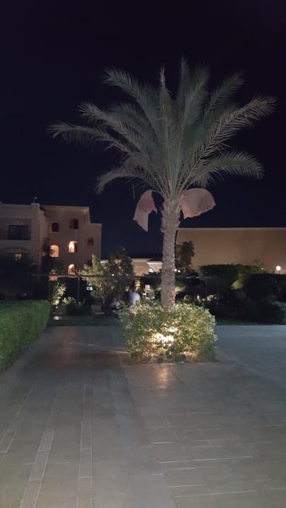 Gartenanlage JAZ Aquamarine Resort