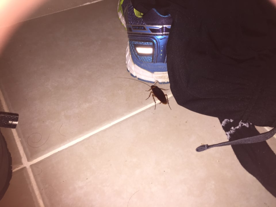 Sonstiges Sirenis Tropical Varadero