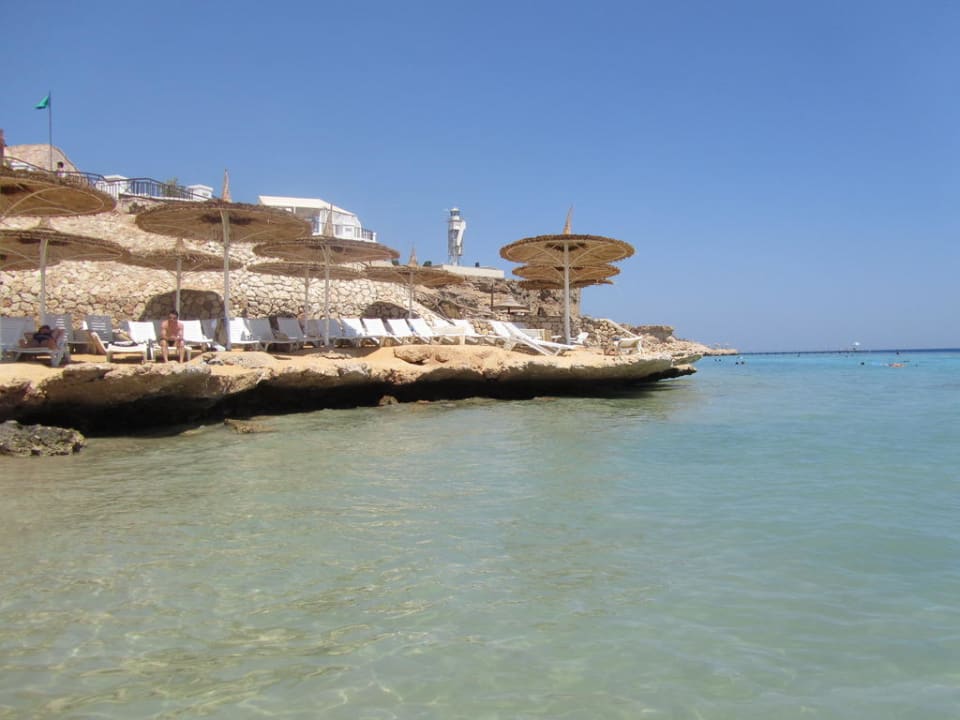 Strand Hotel Reef Oasis Palms