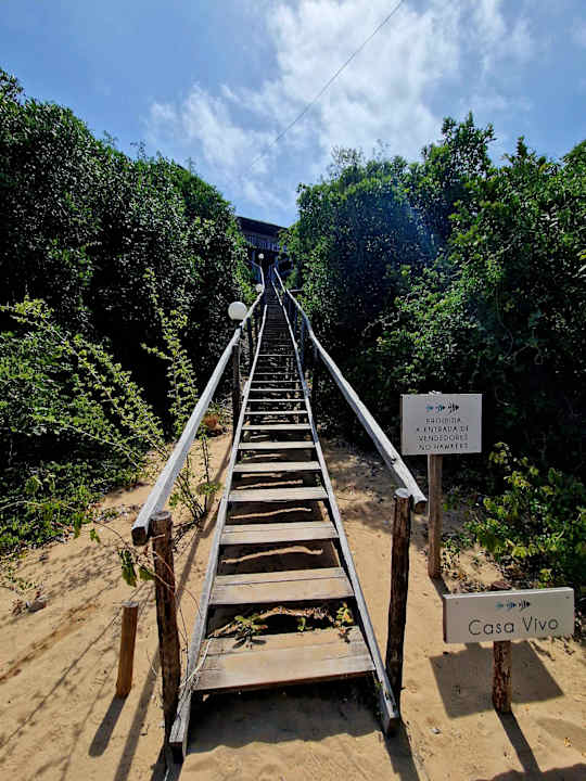 Zimmer Paradise Dunes