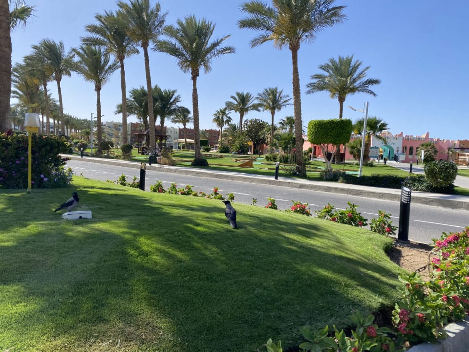 Gartenanlage SUNRISE Royal Makadi Resort