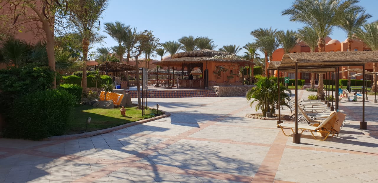 Pool Jaz Makadi Oasis Resort