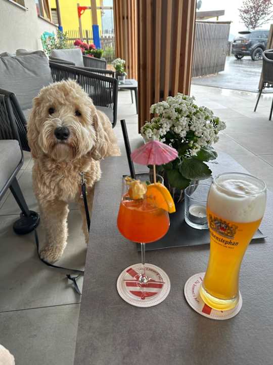 Gartenanlage Hotel Bergkranz