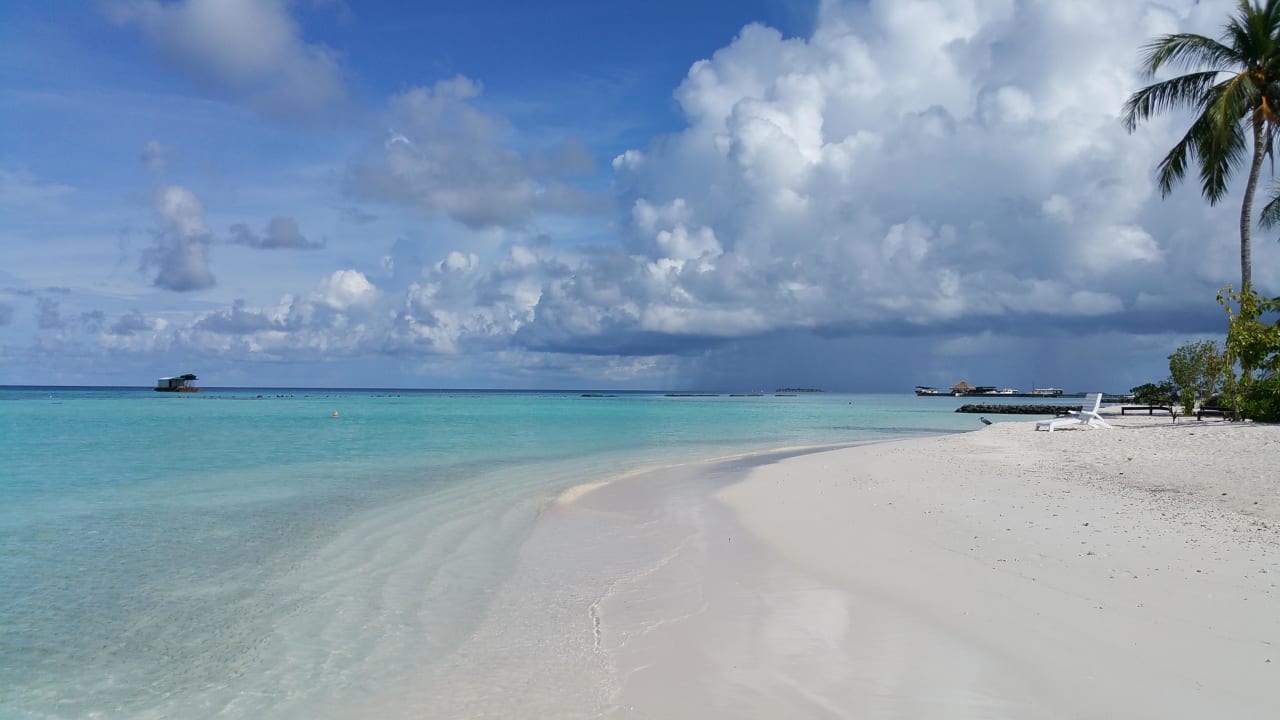 Strand Ostseite Summer Island Maldives