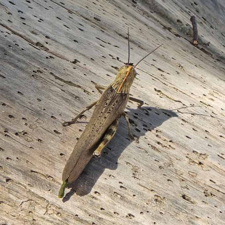 Sonstiges Green Garden Aparthotel