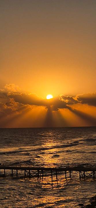 Strand JAZ Neo Reef Marsa