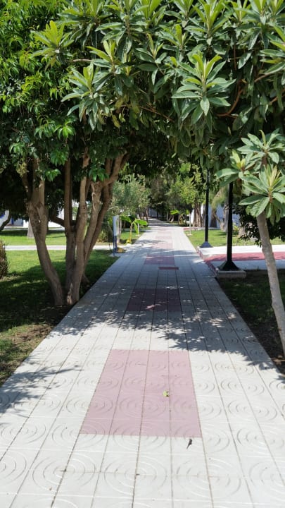 Gartenanlage Hotel Tigaki's Star