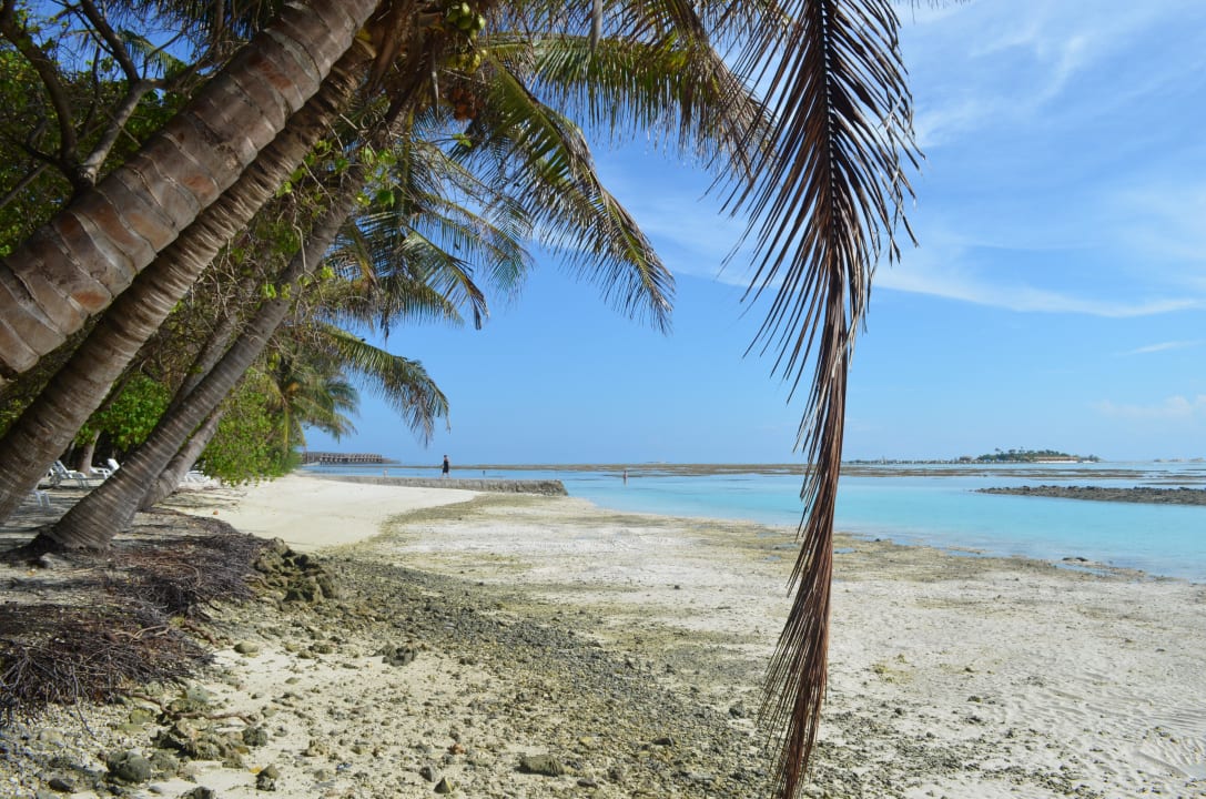 Strand bei Ebbe Adaaran Select Hudhuran Fushi - Premium All Inclusive