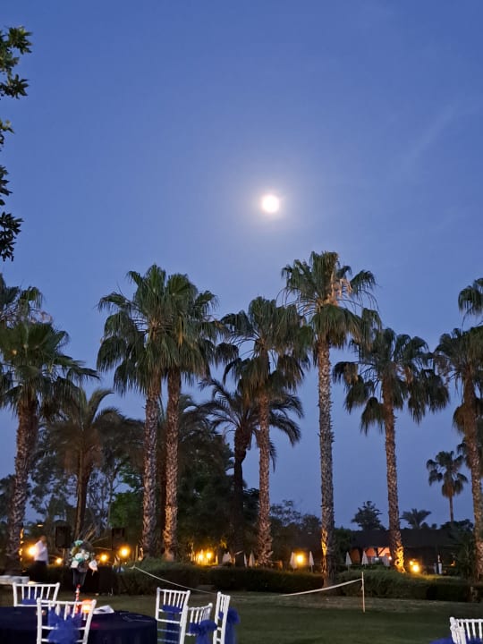 Gartenanlage Trendy Aspendos Beach Hotel