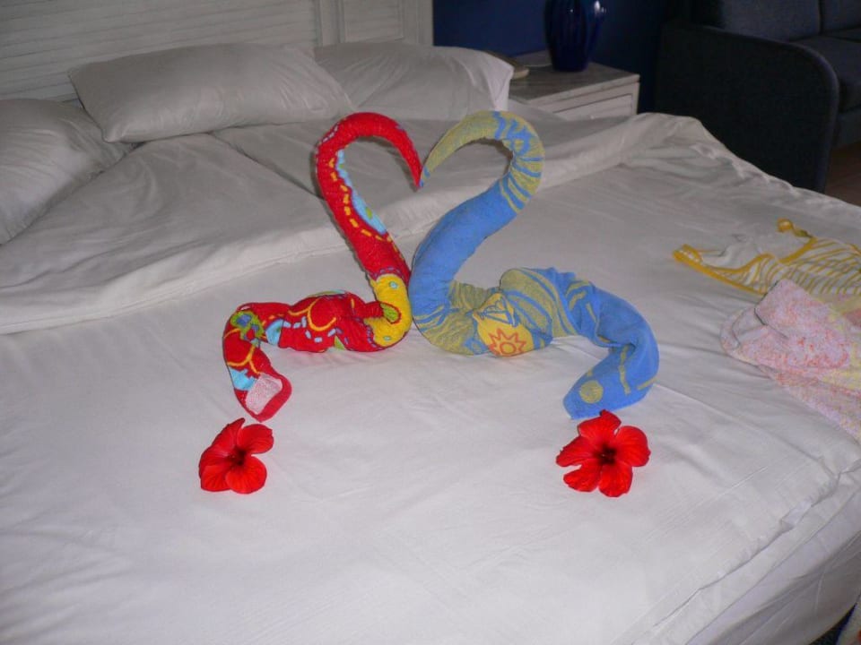Handtuchschwäne Parrotel Beach Resort