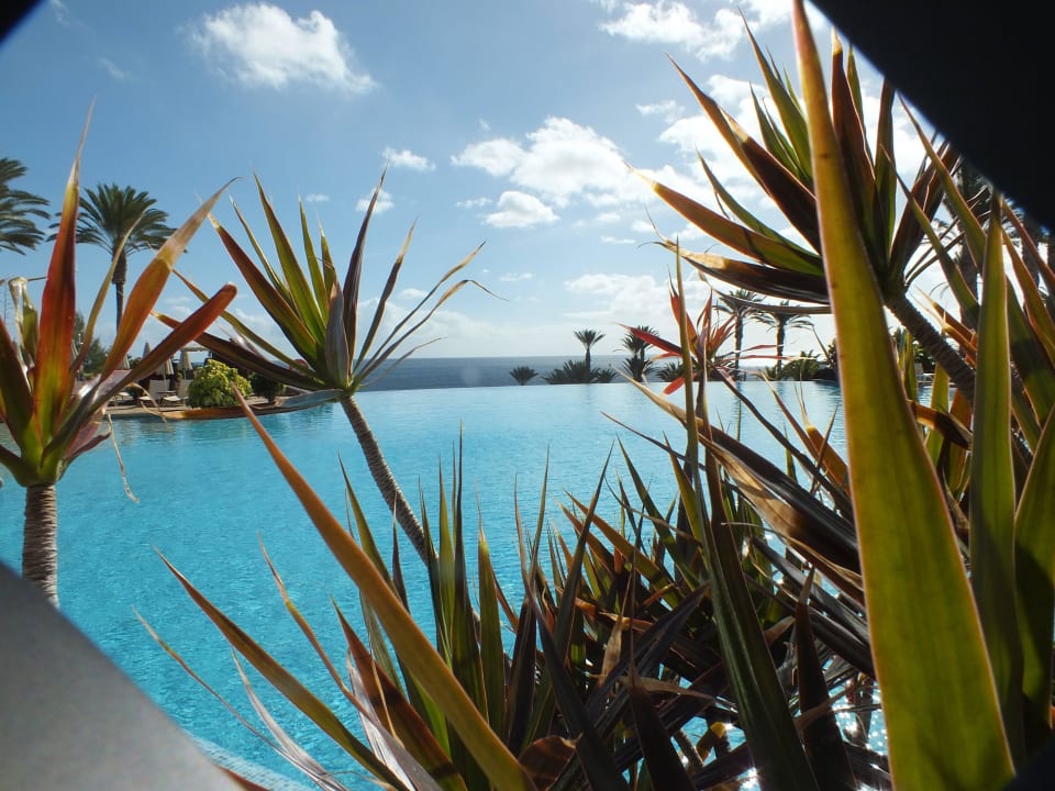 Ein Traum von Pool  R2 Rio Calma Hotel & Spa & Conference