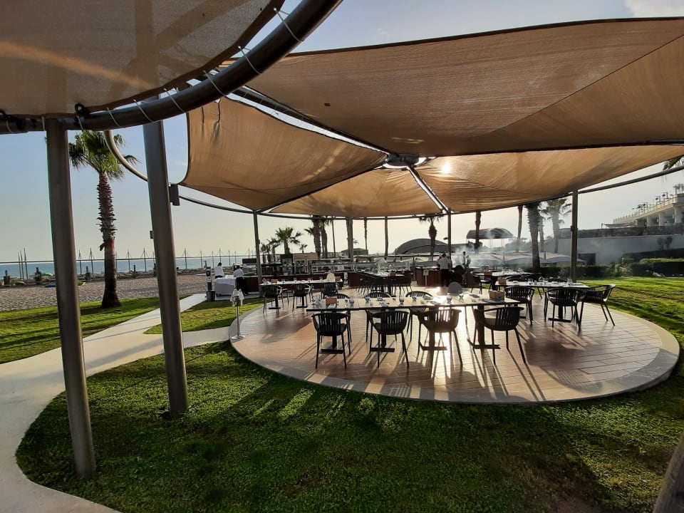 Gastro TUI BLUE Palm Garden