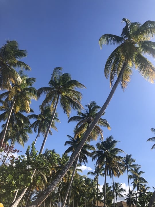 Strand Bahia Principe Grand El Portillo