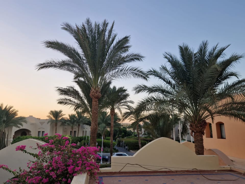 Ausblick Jaz Makadi Saraya Resort