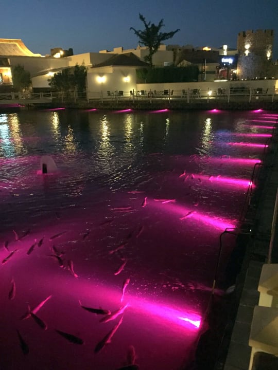 Salzwasserlagune bei Nacht Pickalbatros Dana Beach Resort - Hurghada