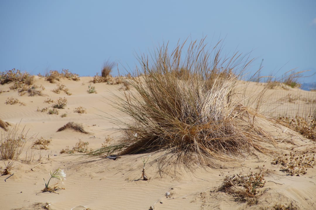 Strand Anemos Luxury Grand Resort