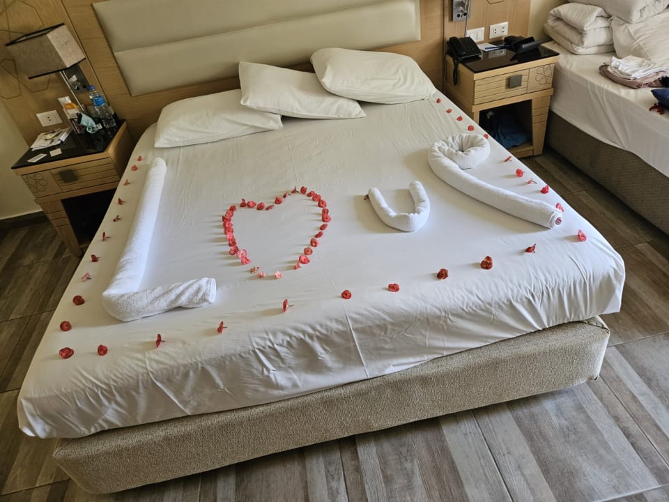 Zimmer Beach Albatros Resort