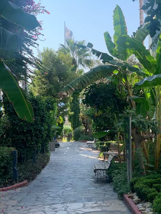 Außenansicht Adin Resort Hotel