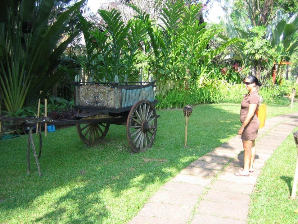 Garten Four Seasons Resort Chiang Mai