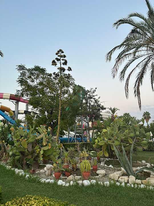 Gartenanlage Trendy Aspendos Beach Hotel
