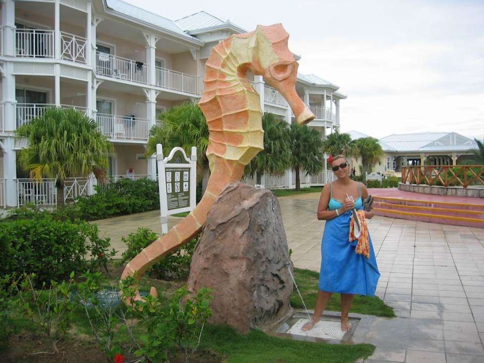 Konik morski Fiesta Americana Punta Varadero