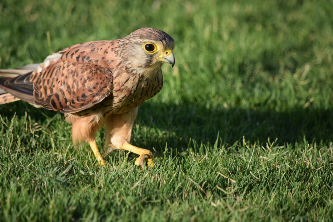 Sonstiges Makadi Spa - Adults only