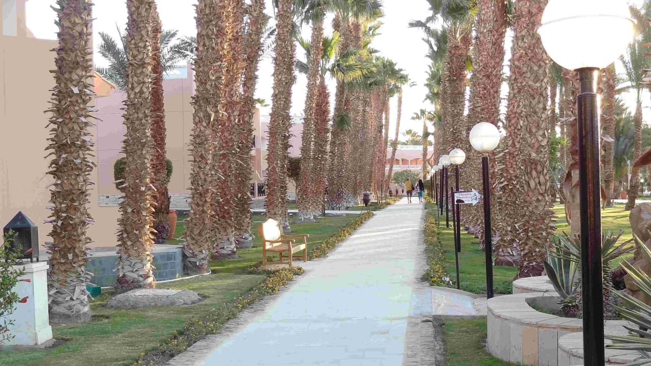 Palmenweg Beach Albatros Resort