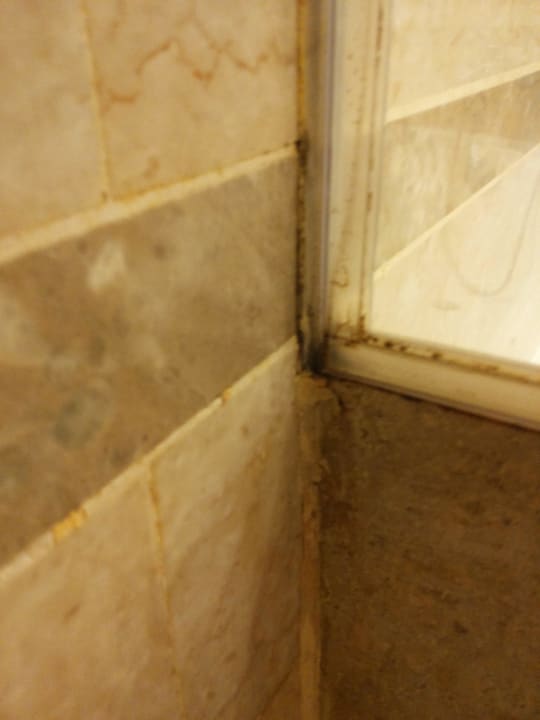 Vergammelt Steigenberger ALDAU Beach Hotel