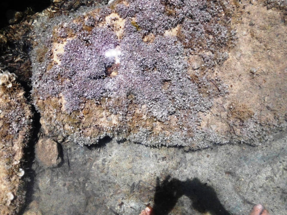 Unter Wasser Barceló Portinatx - Adults only